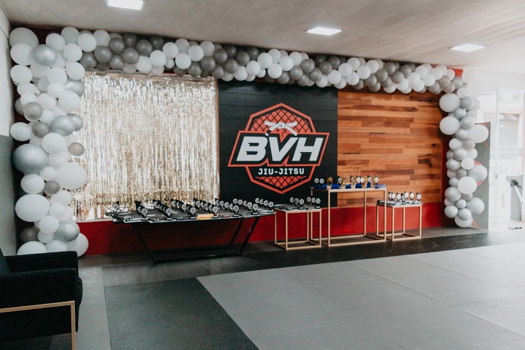 BVH JIUJITSU — foto 3