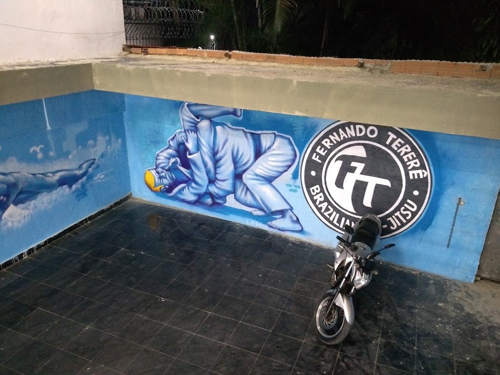 FT - FERNANDO TERERÊ — academia de Jiu-Jitsu