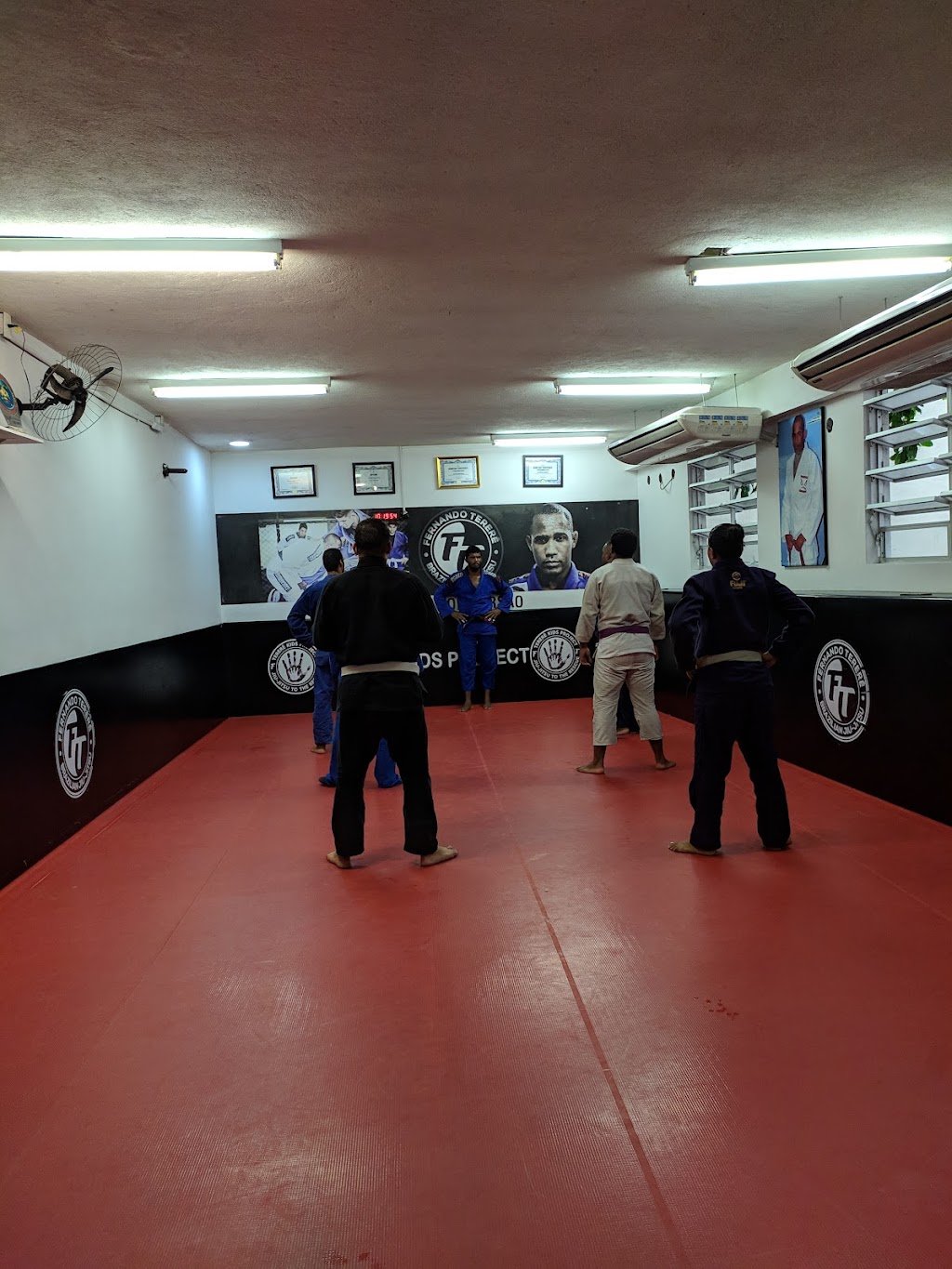 FT - FERNANDO TERERÊ — foto 2