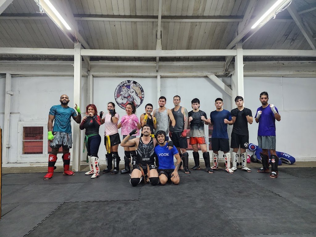 CAES DE RUA CHILE — academia de Jiu-Jitsu