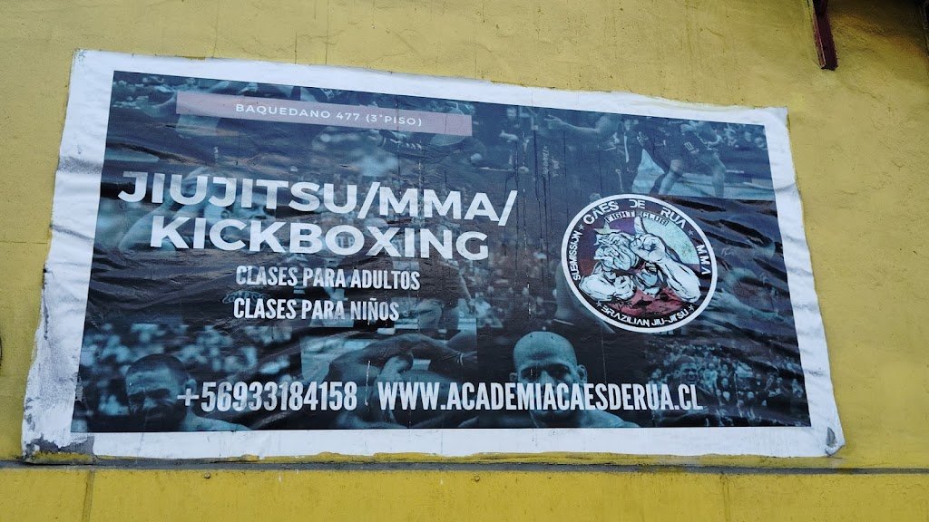 CAES DE RUA CHILE — foto 2