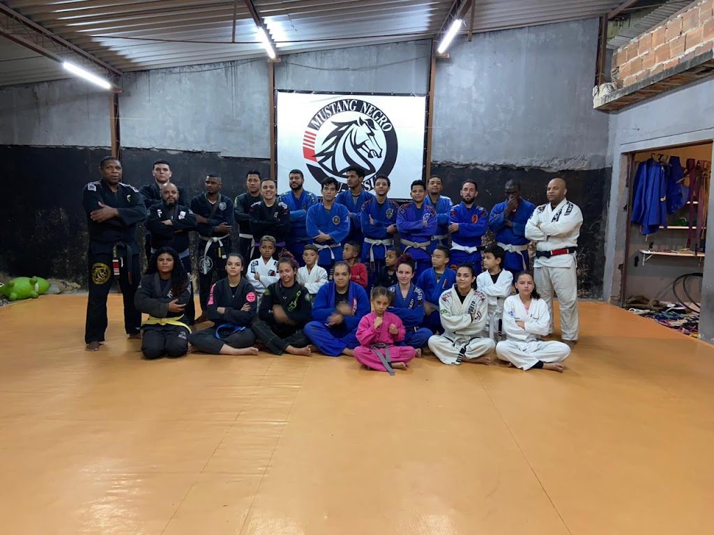 MUSTANG NEGRO BJJ — foto 2