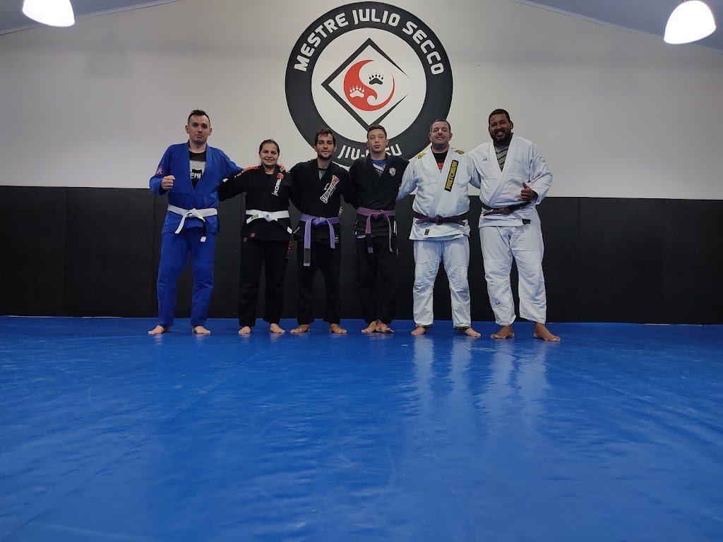 MESTRE JULIO SECCO — academia de Jiu-Jitsu
