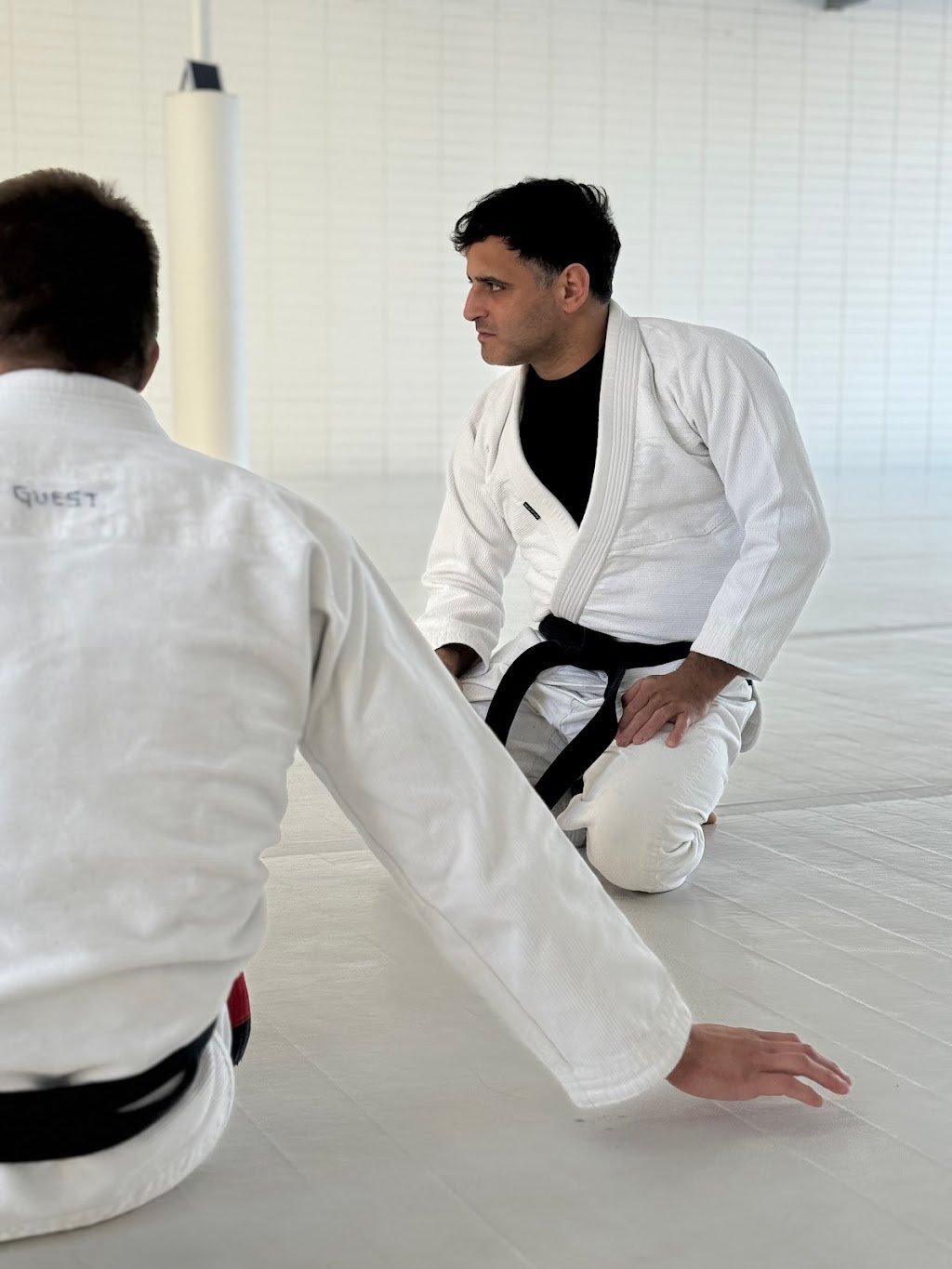 Art of Jiu Jitsu — foto 2