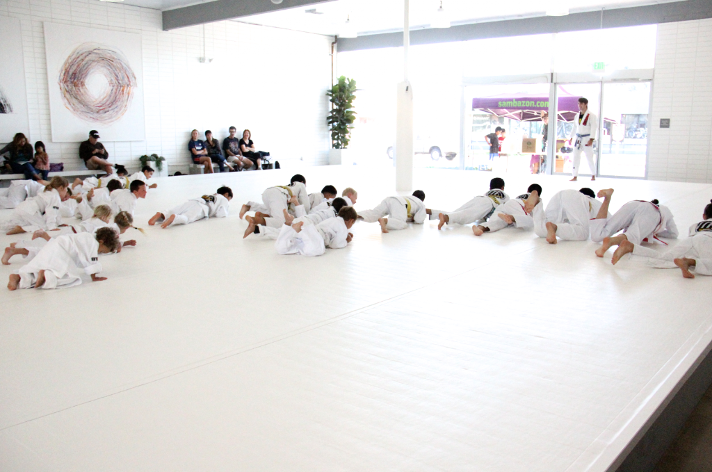 Art of Jiu Jitsu — foto 4