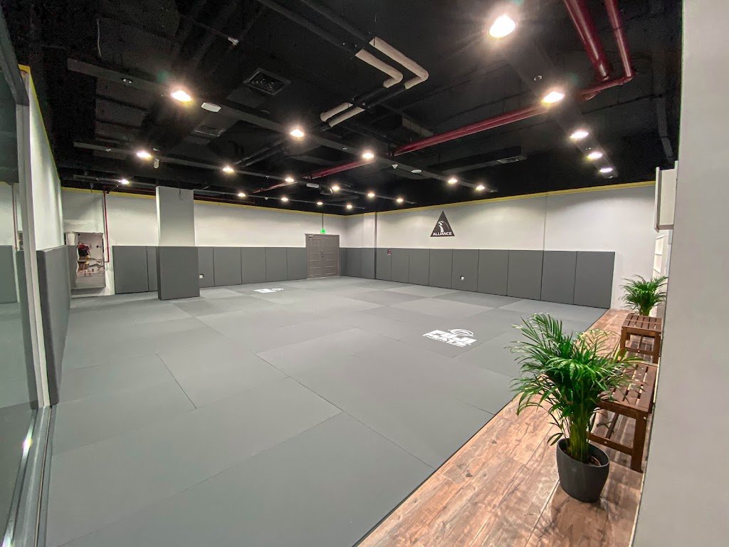 Alliance Dubai — foto 3