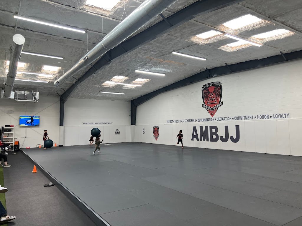 Alex Martins Brazilian Jiu Jitsu — foto 2