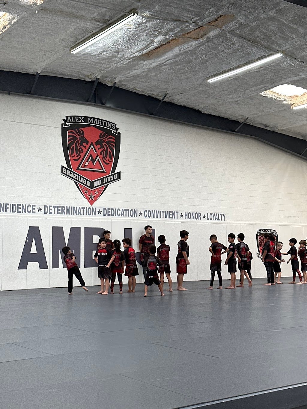 Alex Martins Brazilian Jiu Jitsu — foto 4