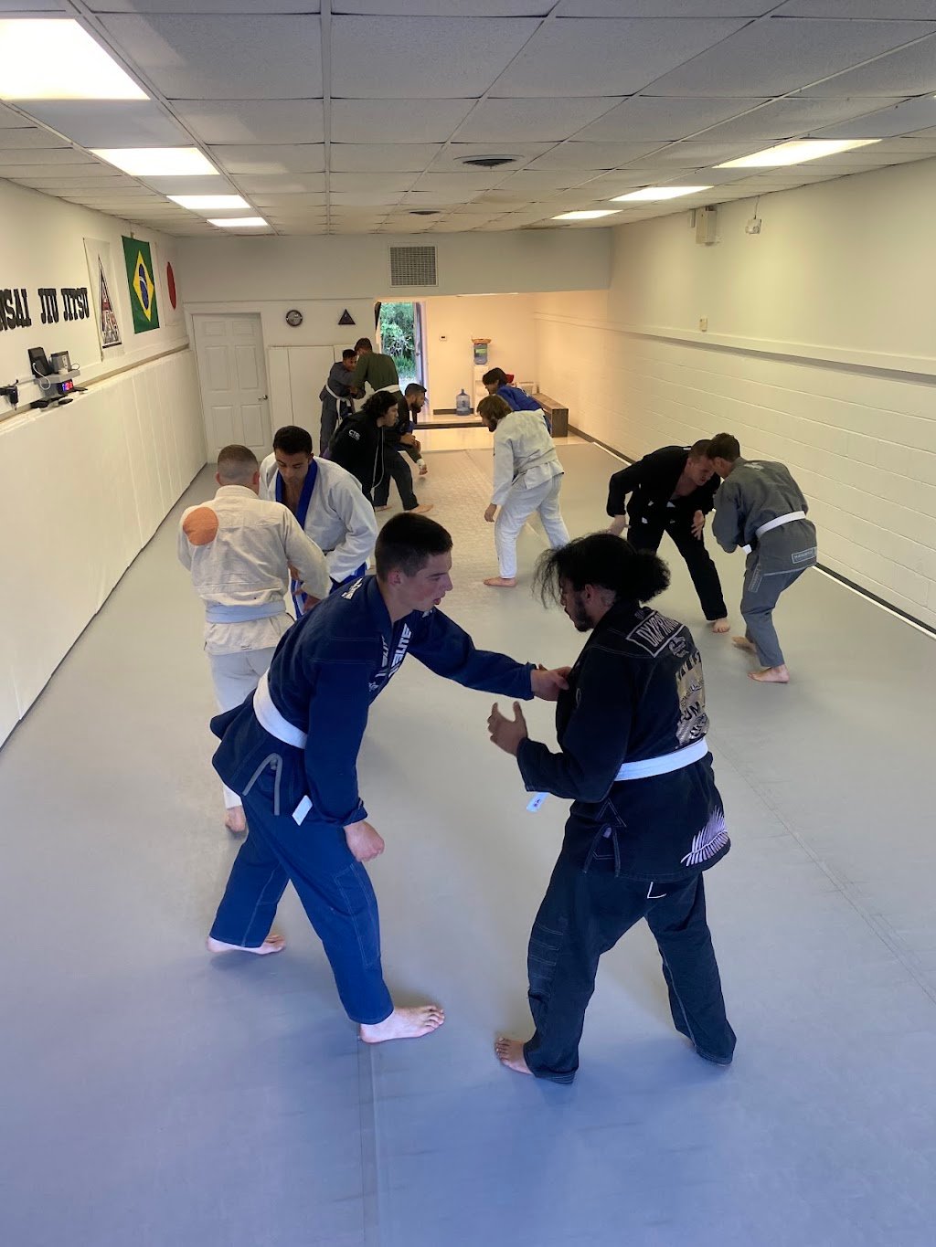 Bonsai Jiu-Jitsu Academy - NC — foto 2