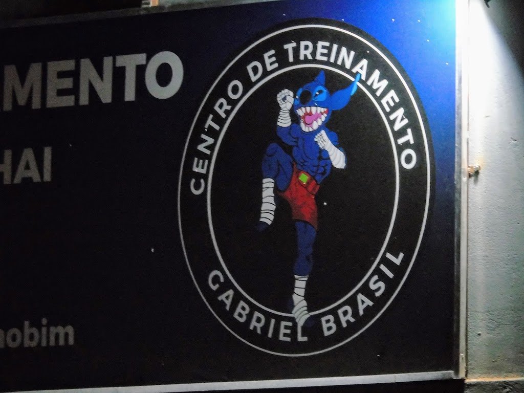 Centro De Treinamento Gabriel Brasil — foto 3