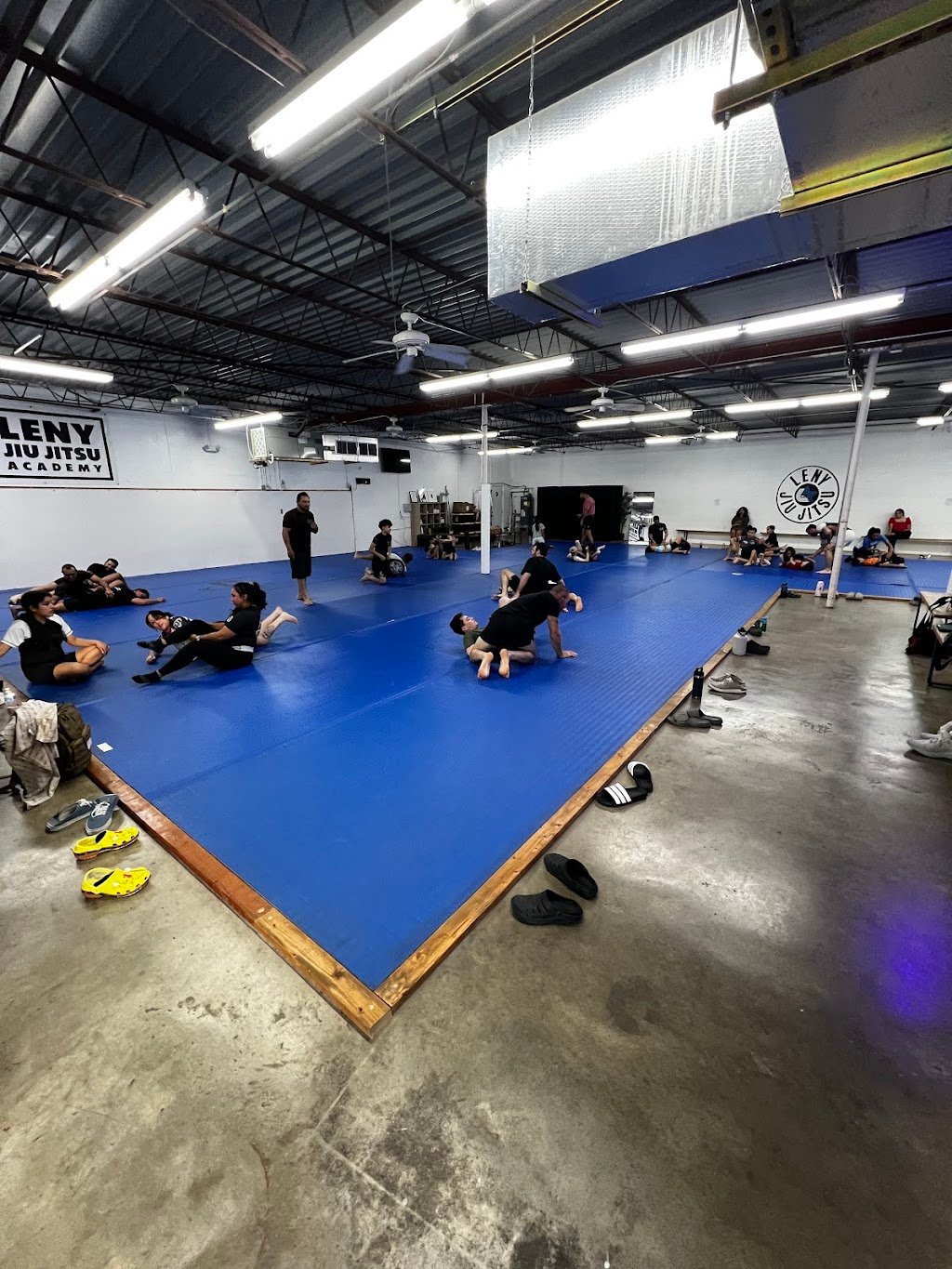Leny Jiu-Jitsu Academy — foto 2