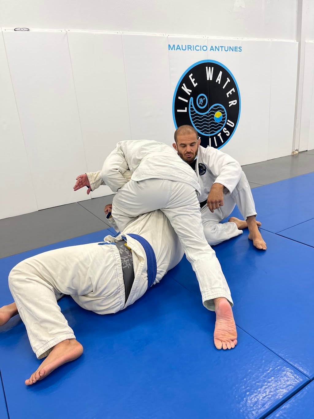 Like Water Jiu Jitsu — foto 2