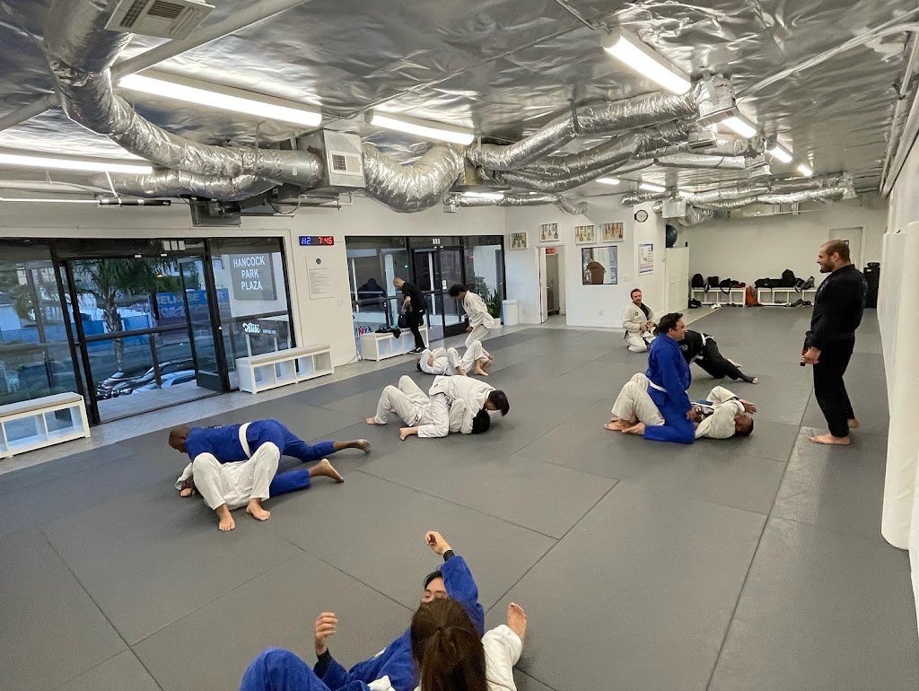 Like Water Jiu Jitsu — foto 3