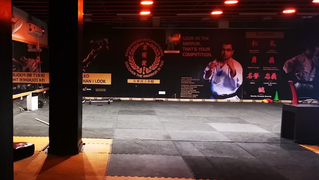 Sanshinkan International Martial Art Academy — academia de Jiu-Jitsu