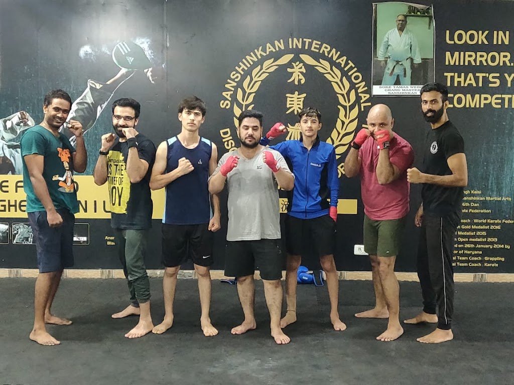 Sanshinkan International Martial Art Academy — foto 2