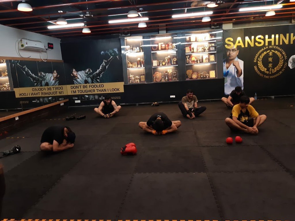 Sanshinkan International Martial Art Academy — foto 3