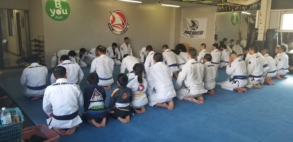Jaws Jiu-Jitsu — foto 4