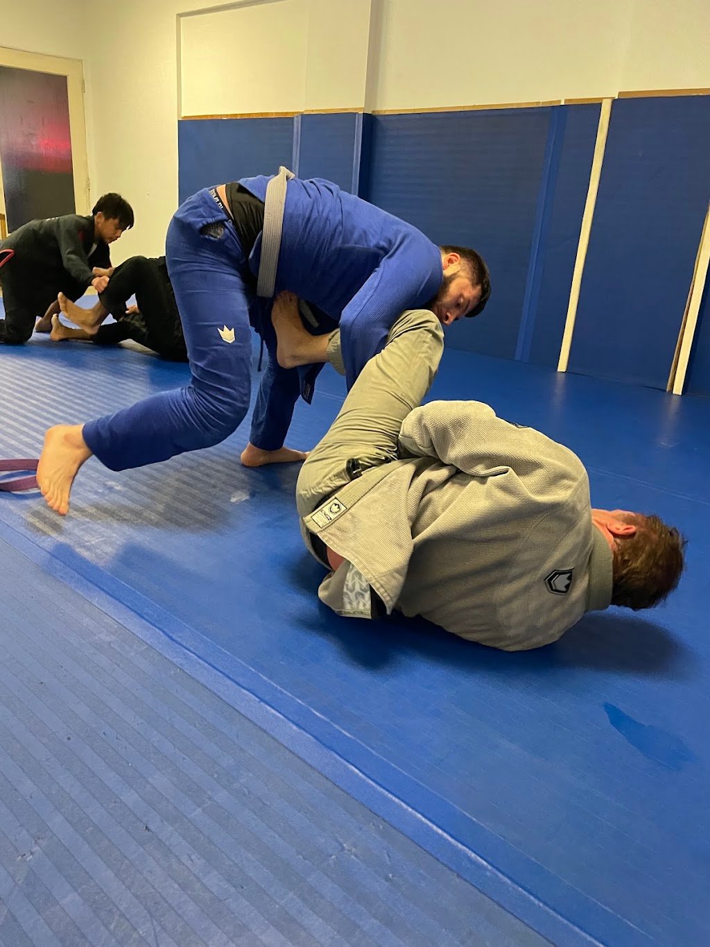 Syq Jiu Jitsu — foto 2