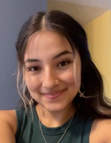 Natalie Perez Brazilian Top Team USA   — faixa Branca de Jiu-Jitsu
