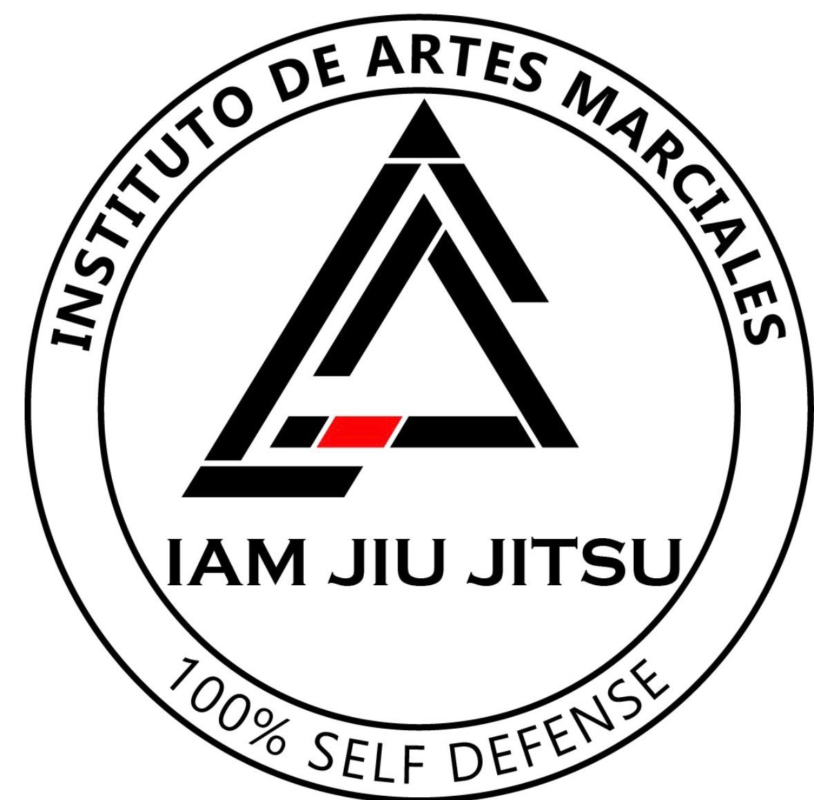 IAM, Instituto de Artes Marciales