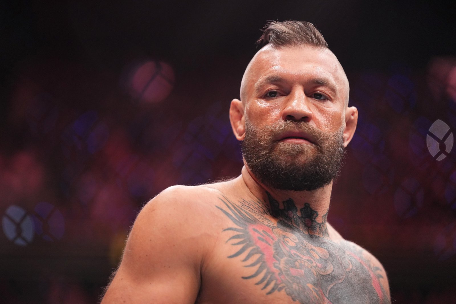Campeões do UFC querem Conor McGregor 'calar a boca' sobre 'Plano de Deus' e apenas ser 'Notorious' — Federação de Jiu-Jitsu