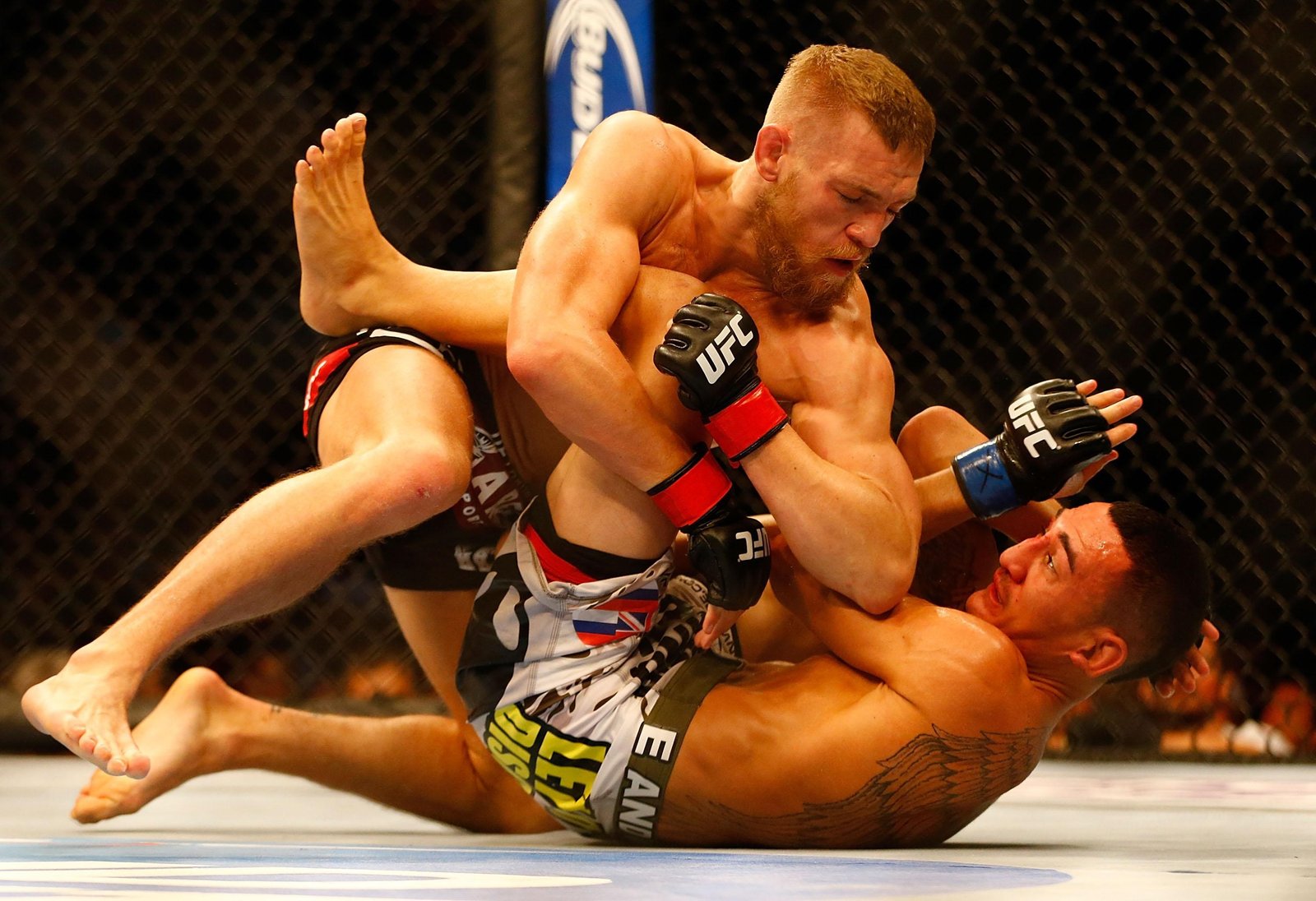 Vídeo completo da luta: Conor McGregor vs. Max Holloway — Federação de Jiu-Jitsu