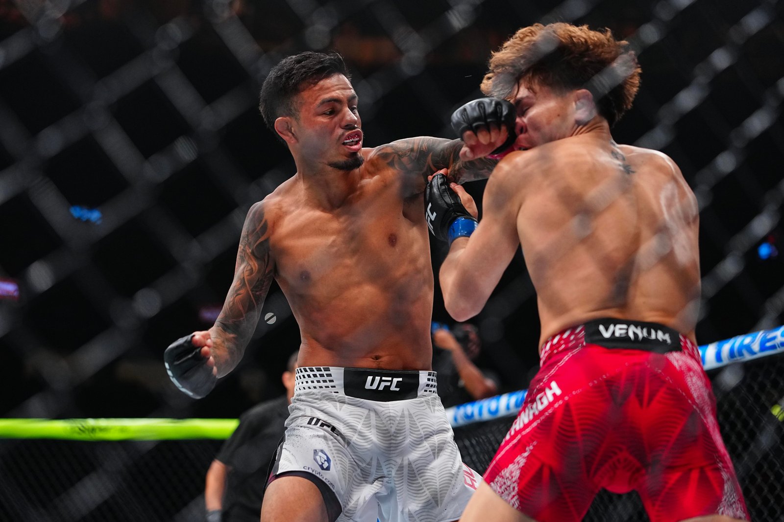 Highlights! Brandon Royval chokes out Lone’er Kavanagh after bloody brawl | UFC 329 — Federação de Jiu-Jitsu