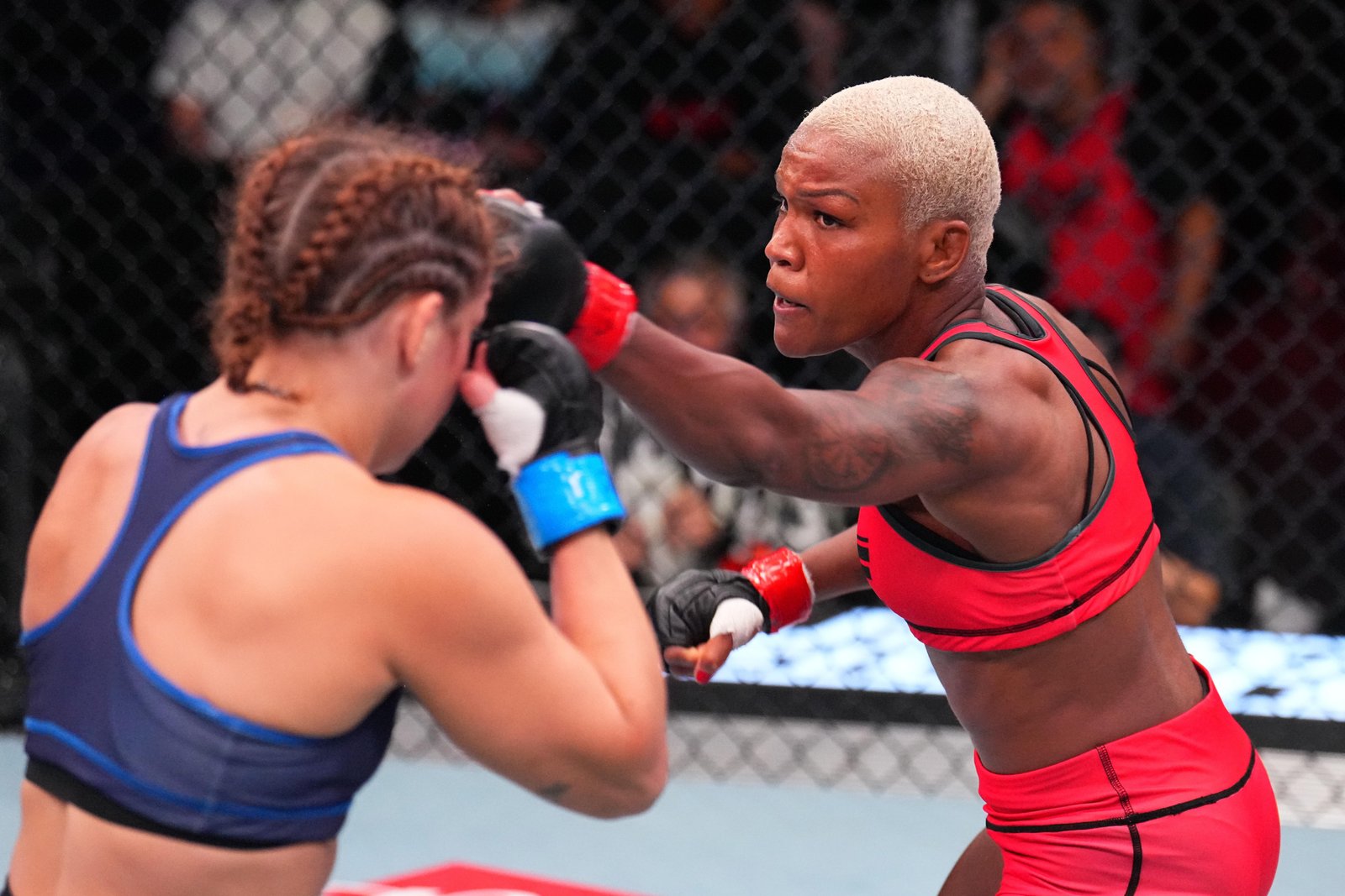 Destaques do TUF 34: Tina Black arrasa a última escolha de Michael Bisping em duelo brasileiro sangrento — Federação de Jiu-Jitsu