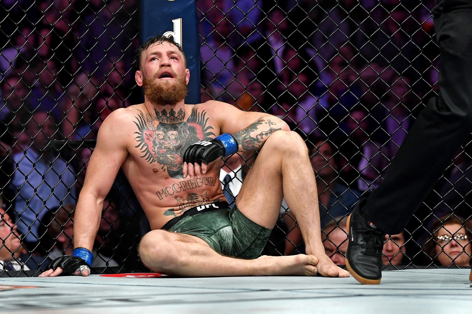 Mystic Mac? Estudo prova que mais de 71% das previsões de lutas de Conor McGregor estão erradas | UFC 329 — Federação de Jiu-Jitsu