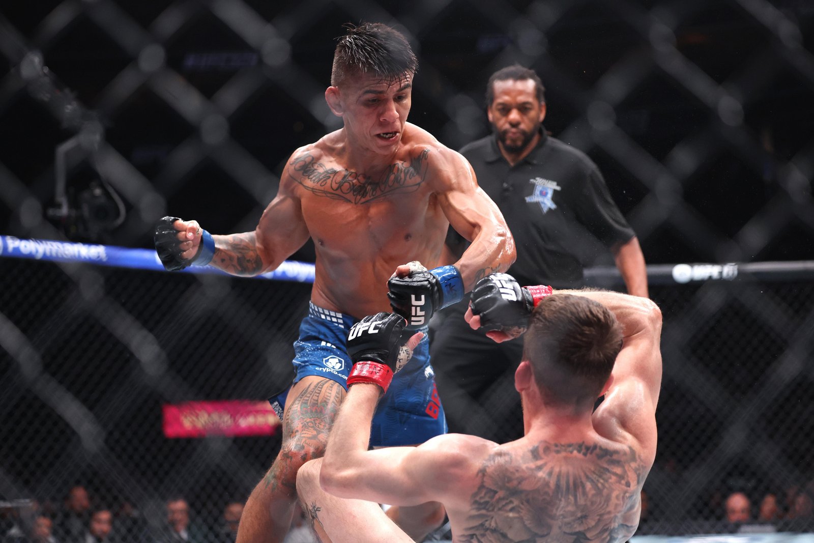 Mario Bautista está disposto a lutar contra ex-companheiro Sean O'Malley pela chance de luta pelo título do UFC — Federação de Jiu-Jitsu