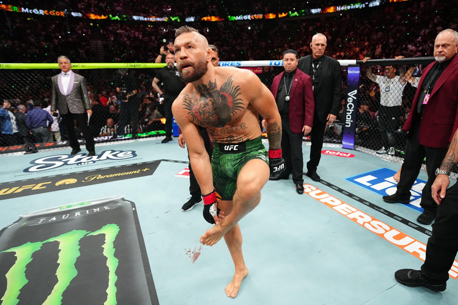 Conor McGregor breaks silence after devastating UFC 329 injury derails comeback: ‘I can only describe it as hell’ — Federação de Jiu-Jitsu