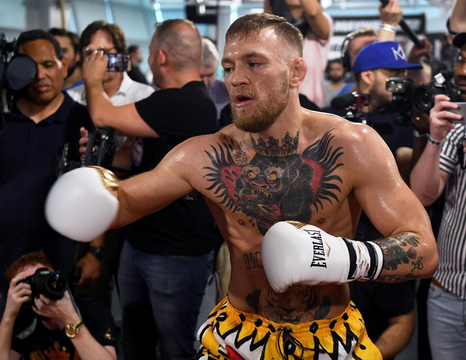 Dan Hooker quer UFC deixar Conor McGregor boxear: 'Seu corpo não aguenta em MMA' — Federação de Jiu-Jitsu