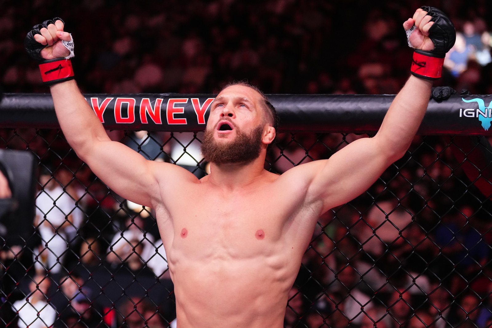 Previsões para o UFC Baku — Federação de Jiu-Jitsu