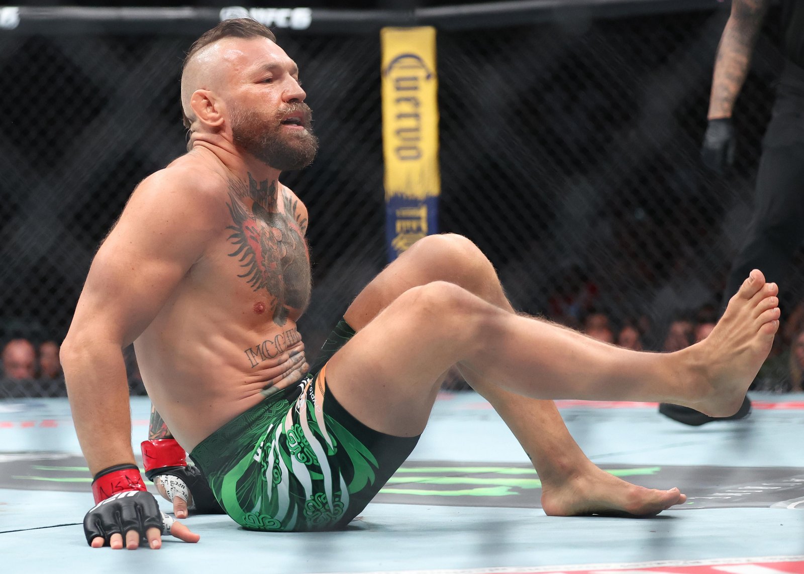 UFC 329, No Dia Seguinte: Conor McGregor desabando choca fãs petrificados — Federação de Jiu-Jitsu