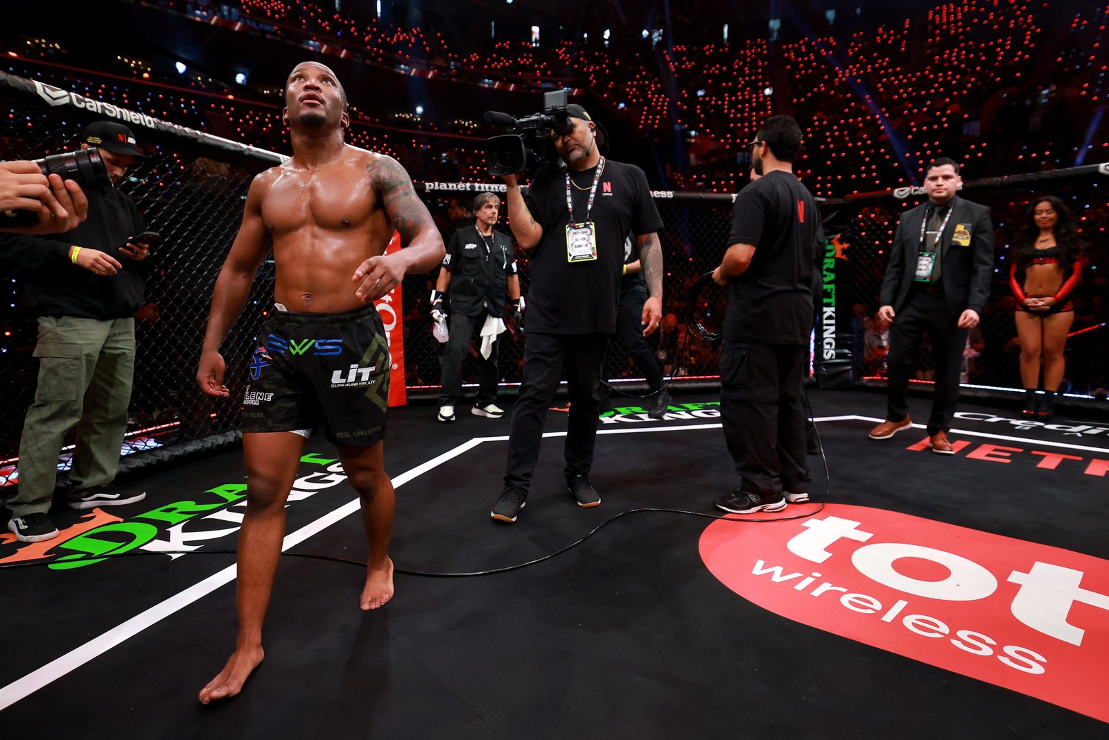 CSAC mantém decisão controversa do árbitro Herb Dean sobre 'Rousey vs. Carano' — Federação de Jiu-Jitsu