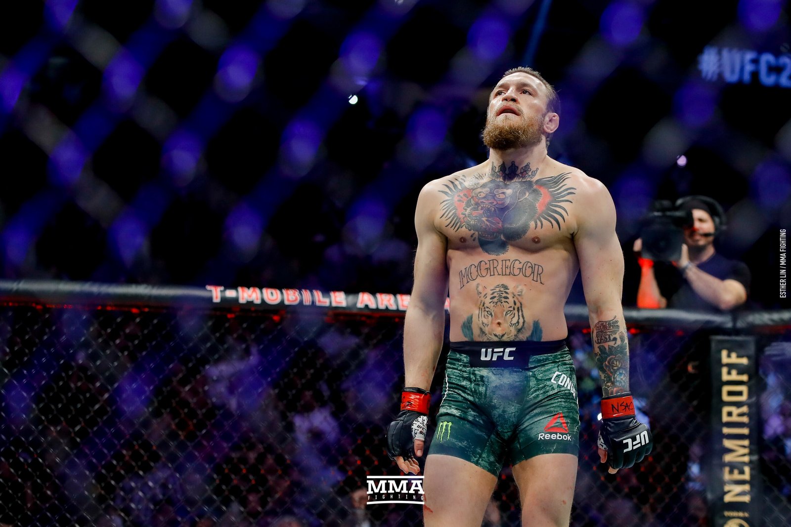 Previsões UFC 329 — Federação de Jiu-Jitsu