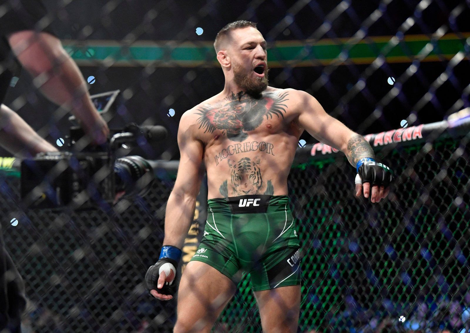Caminhos para a Vitória do UFC 329: Como Conor McGregor pode fazer um retorno bem-sucedido após 5 anos afastado? — Federação de Jiu-Jitsu