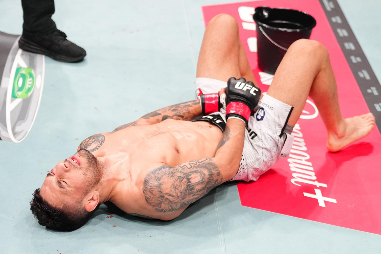 Os "testículos softball" do contendor peso-mosca Alex Perez estão bem agora, mas não estavam por um tempo — Federação de Jiu-Jitsu