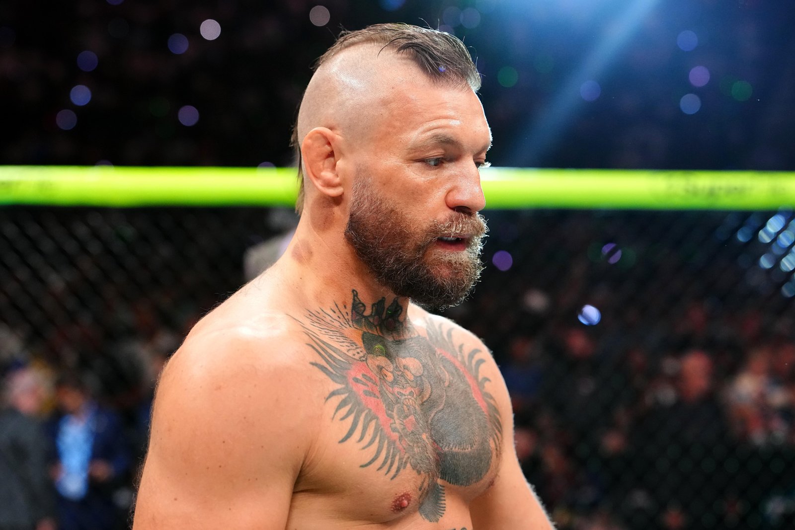 Conor McGregor divulga comunicado anunciando cirurgia, futuro no UFC — Federação de Jiu-Jitsu