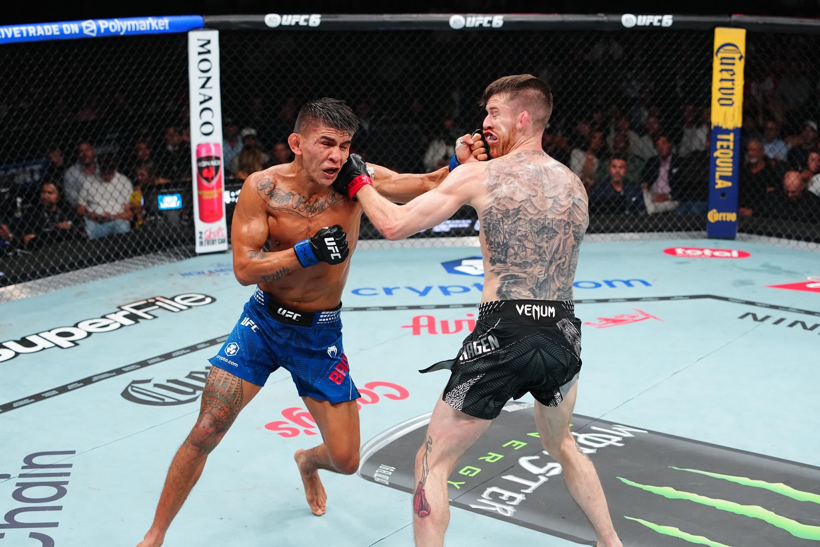 UFC 329 results: Mario Bautista badly damages Cory Sandhagen’s leg, gets his revenge with unanimous decision win — Federação de Jiu-Jitsu