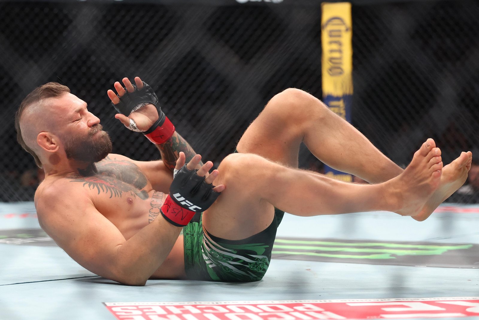 Relatório Matinal | Conor McGregor pede que sua derrota para Max Holloway seja anulada — Federação de Jiu-Jitsu