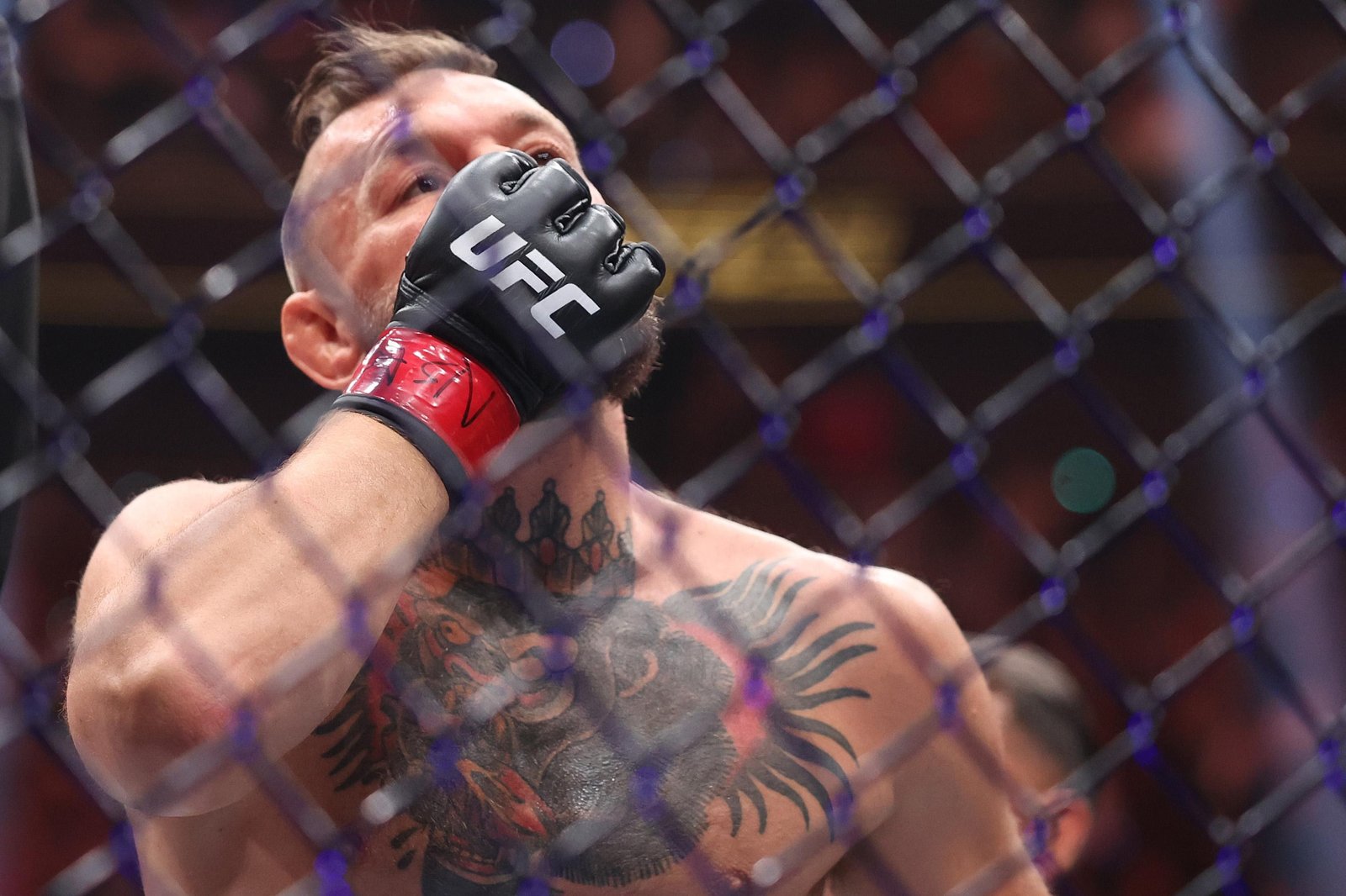 UFC 329 results: Sooo … About last night | McGregor vs. Holloway 2 — Federação de Jiu-Jitsu
