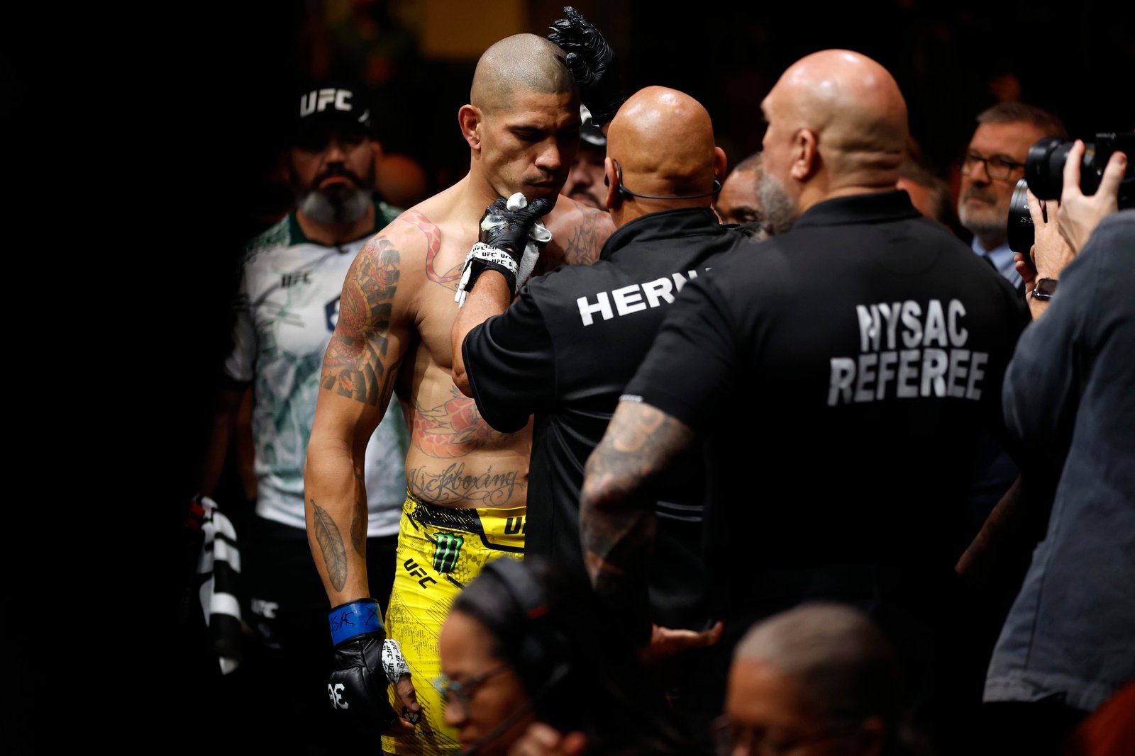 Alex Pereira Almeja Retorno UFC em Novembro no Madison Square Garden — Federação de Jiu-Jitsu