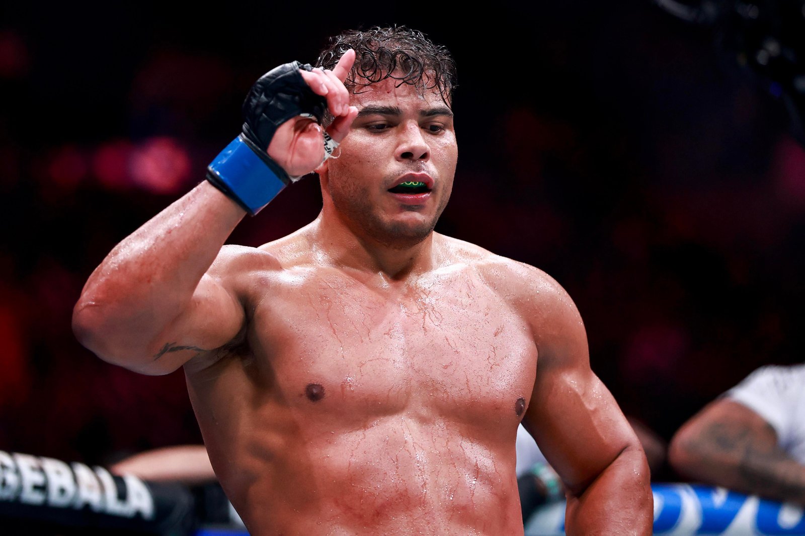 Paulo Costa explica recusa da oferta de curta duração de Magomed Ankalaev: 'Mesmo dinheiro, nada melhor' — Federação de Jiu-Jitsu