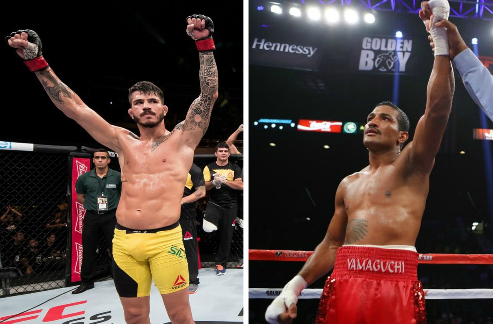 Erick Silva e Yamaguchi Falcão vão fazer jogo beneficente no Engenheiro Araripe — Federação de Jiu-Jitsu