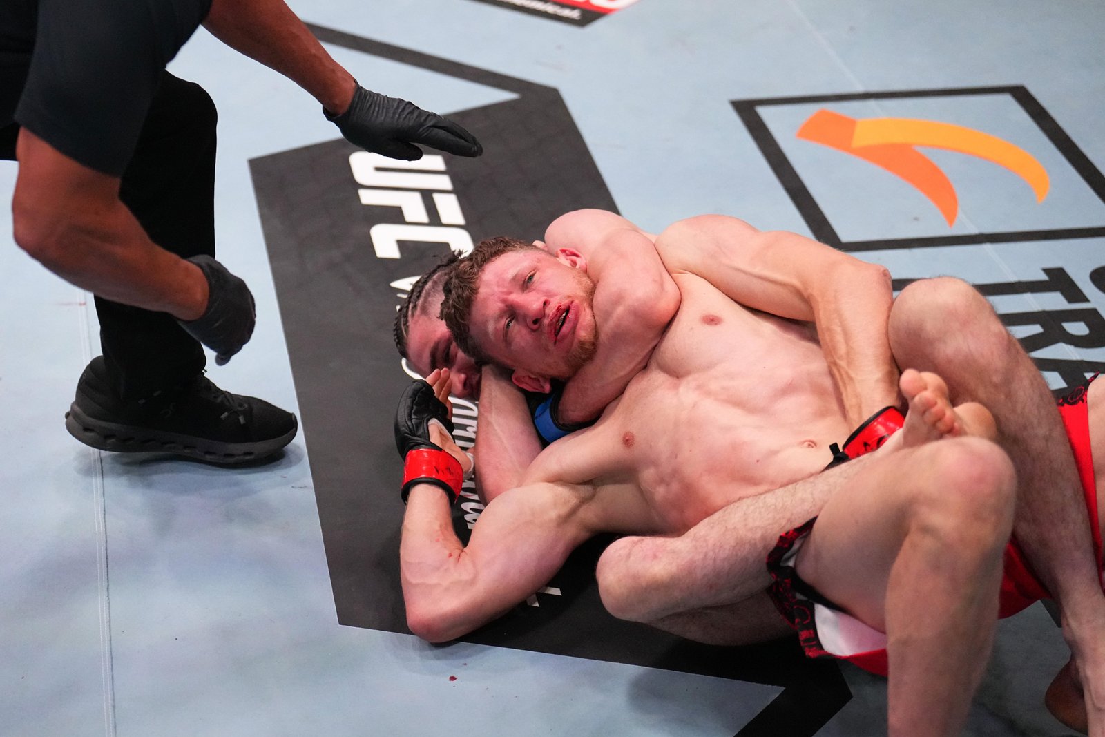 Melhores momentos do TUF 34: Mehemmedeli Osmanli nocauteia a escolha número 1 de Daniel Cormier em menos de um round — Federação de Jiu-Jitsu