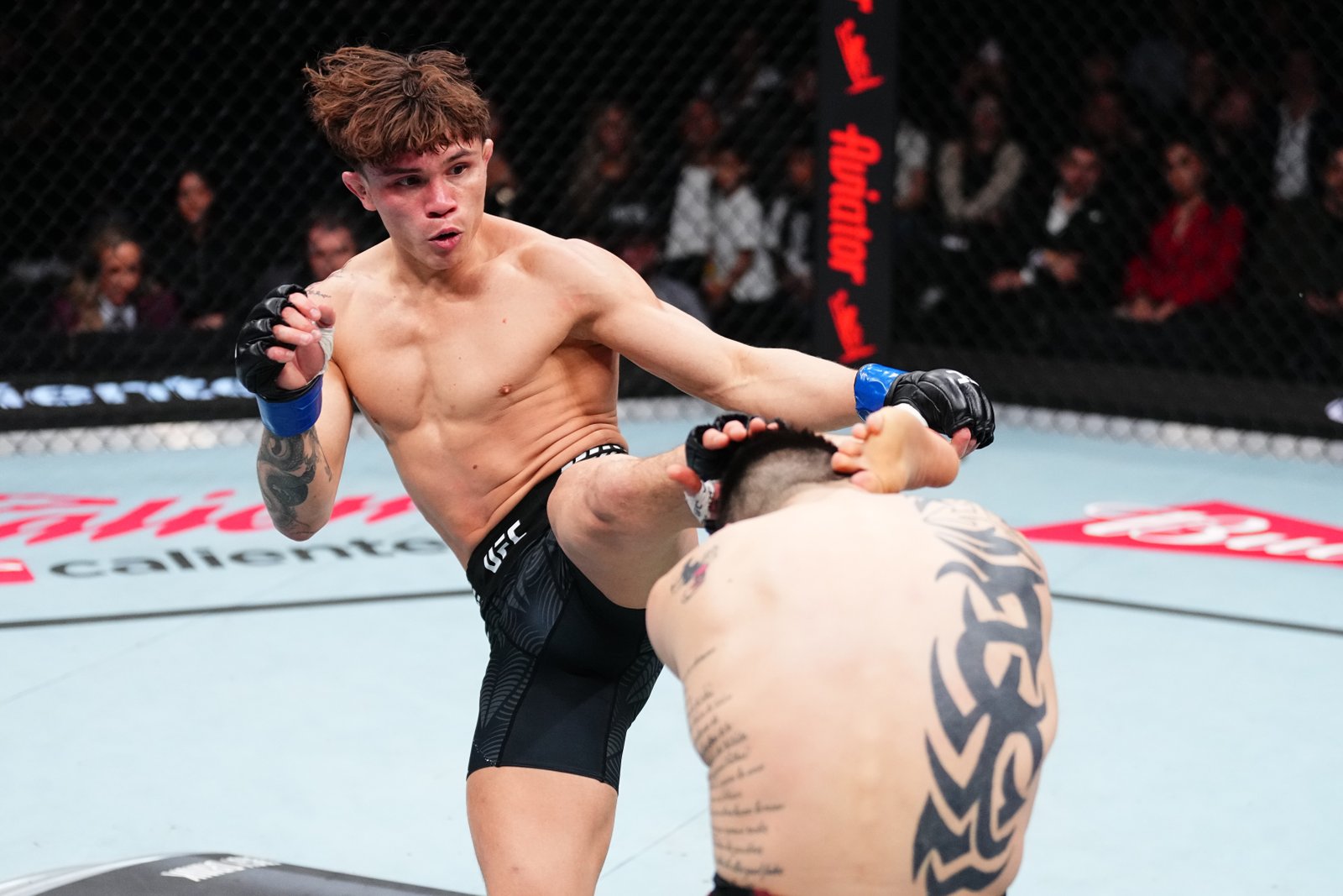 Lone'er Kavanagh x Brandon Royval: odds, prévia completa e previsão | UFC 329 — Federação de Jiu-Jitsu