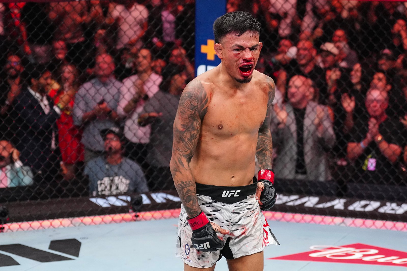 Eis a aposta "Weekend Lock" de odds do UFC 329 da MMAmania.com... qual é a sua? — Federação de Jiu-Jitsu