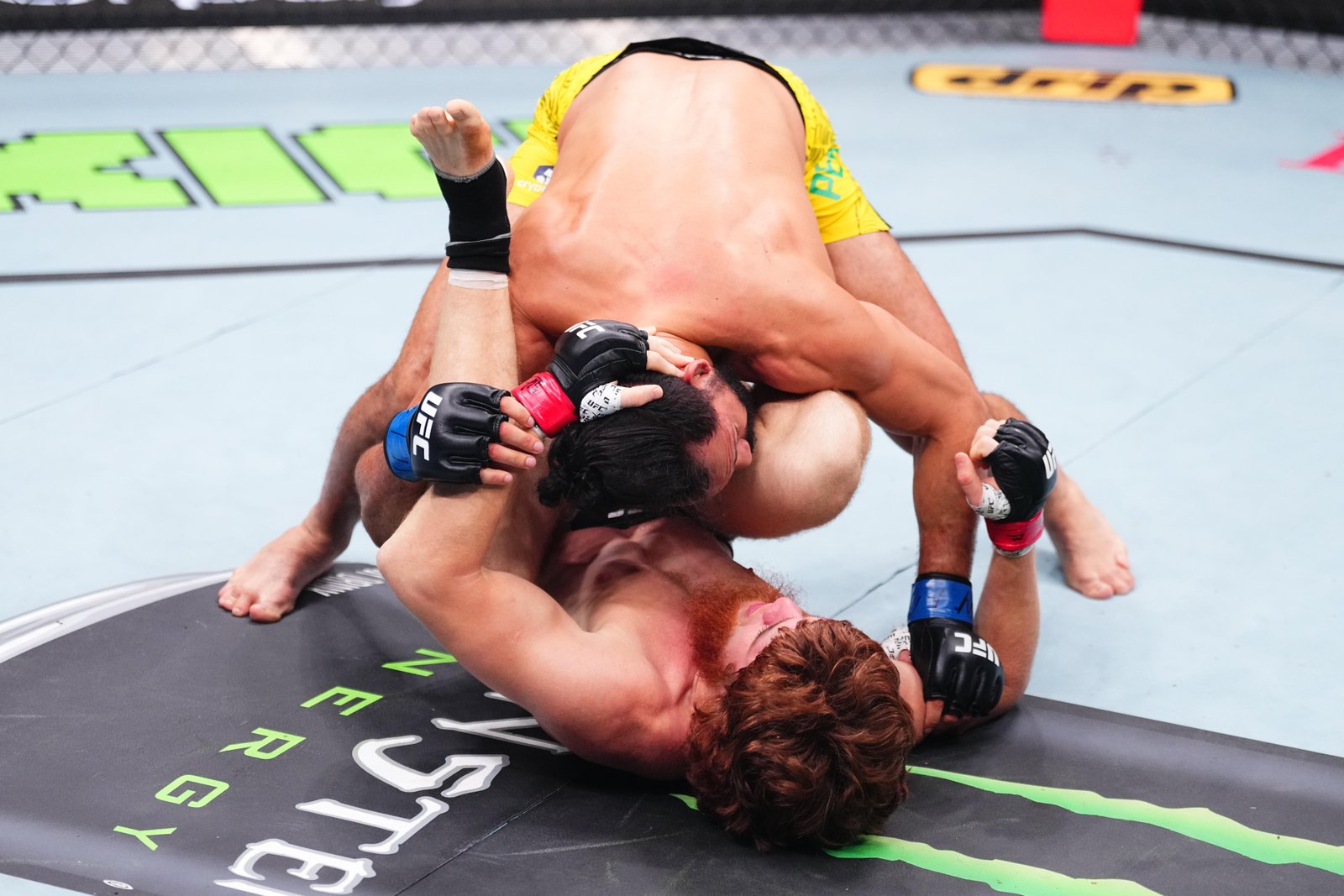 Alex Pereira insatisfeito com liberação de Michel Pereira do UFC, critica 'erro' de Herb Dean — Federação de Jiu-Jitsu