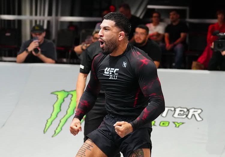 5 grandes conclusões do UFC BJJ 3 — Federação de Jiu-Jitsu